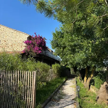 Le Nid Des Salins - & Terrasse Hyères