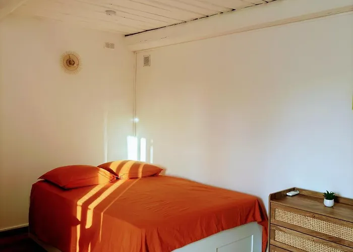 Le Nid Des Salins - & Terrasse * Hyères