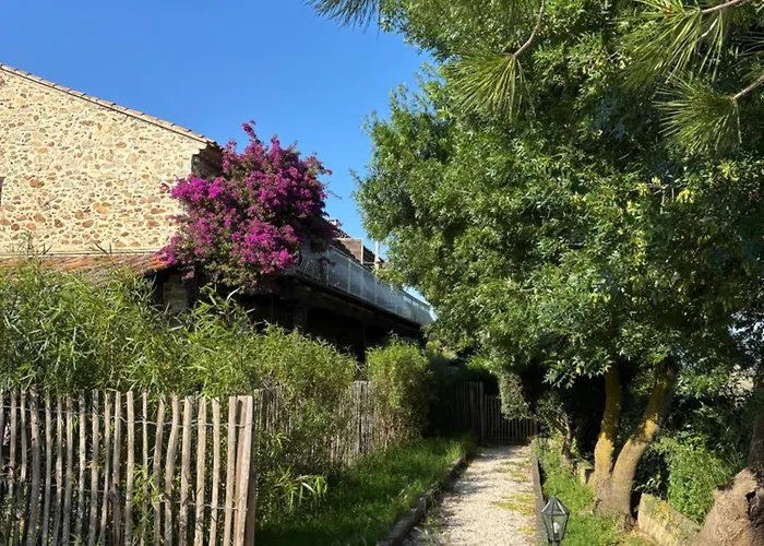 Le Nid Des Salins - & Terrasse Hyères